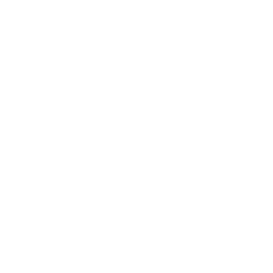 Einkaufswagen Einkaufswagen