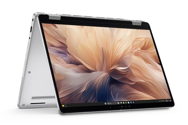 Dell Pro 14 Plus Serie 2in1