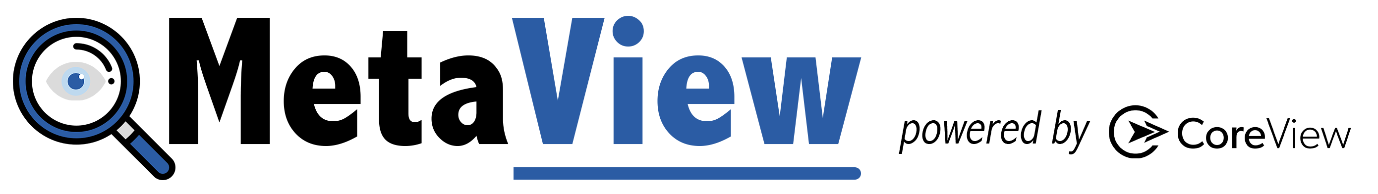 MetaView Logo