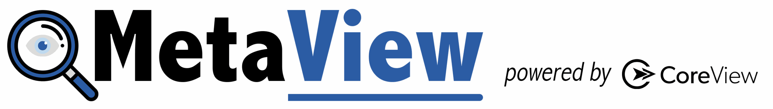 MetaView Logo